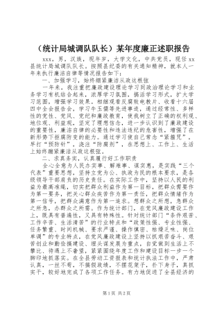 （统计局城调队队长）某年度廉正述职报告