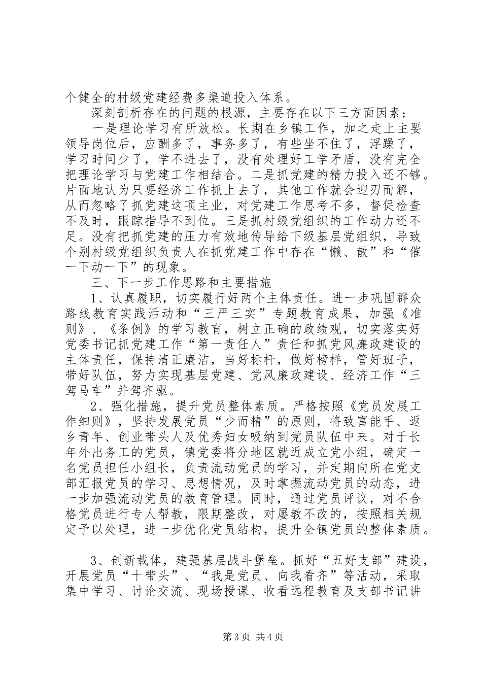 党委书记述职报告 (48)_第3页