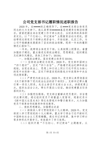 公司党支部书记履职情况述职报告