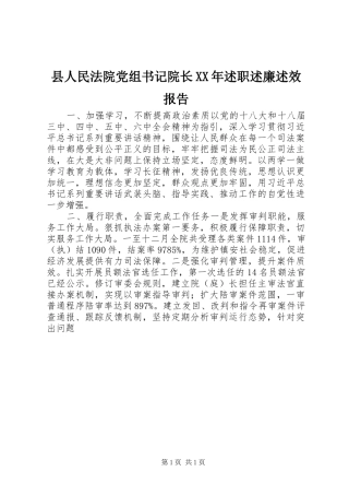 县人民法院党组书记院长XX年述职述廉述效报告
