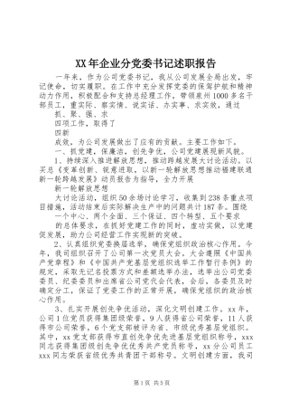 XX年企业分党委书记述职报告