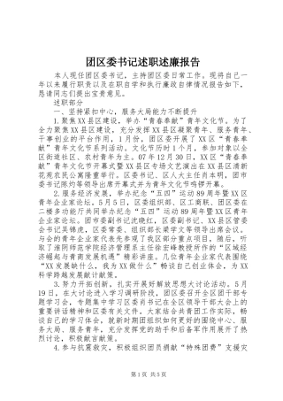 团区委书记述职述廉报告