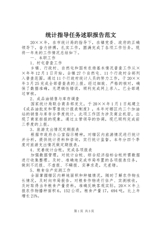 统计指导任务述职报告范文