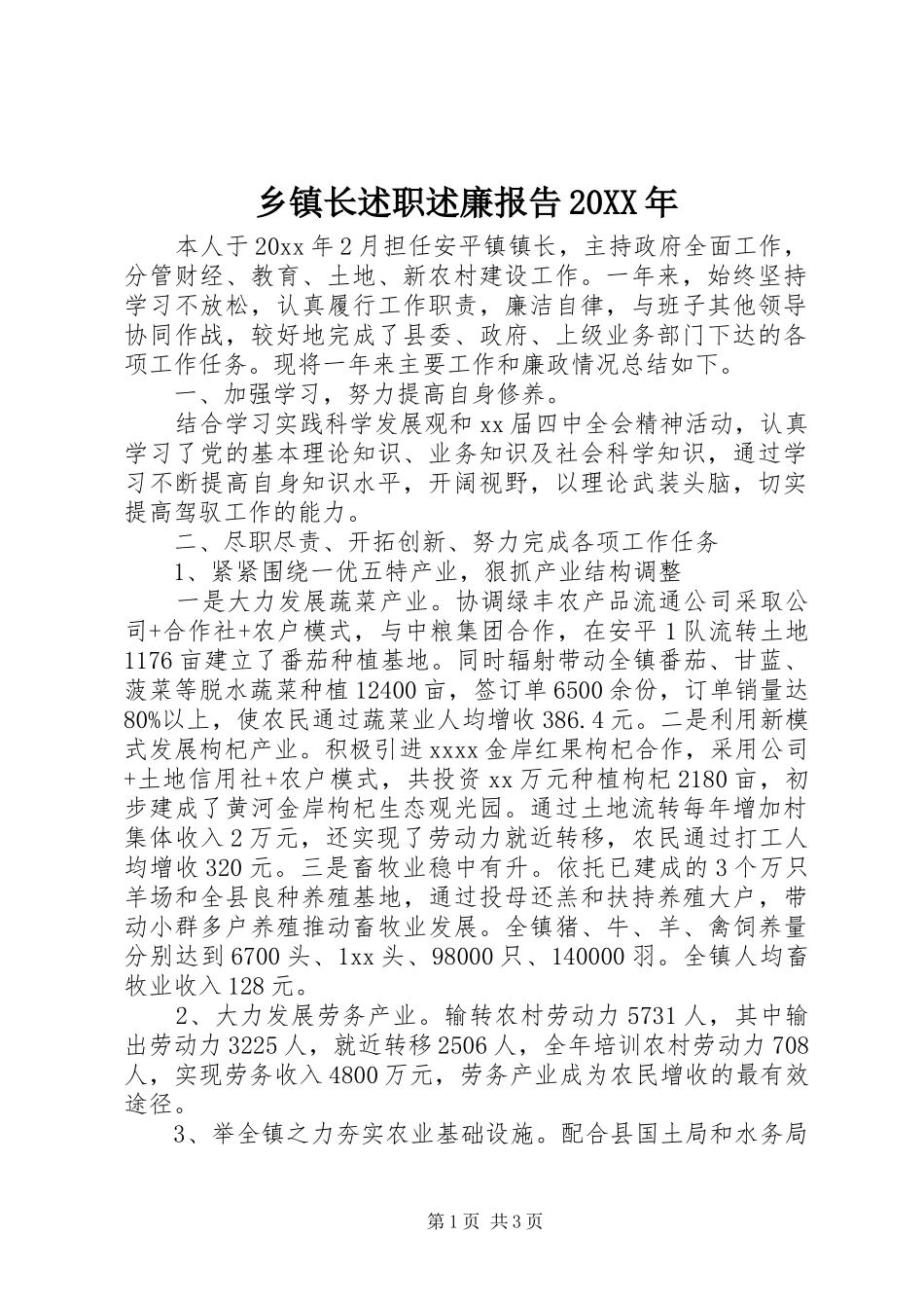 乡镇长述职述廉报告20XX年_第1页