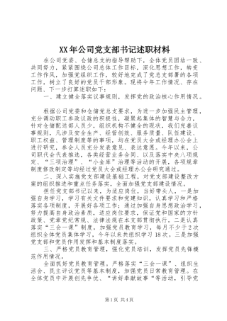 XX年公司党支部书记述职材料
