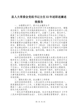 县人大常委会党组书记主任XX年述职述廉述效报告