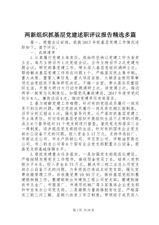 两新组织抓基层党建述职评议报告精选多篇