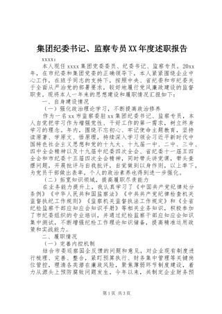集团纪委书记、监察专员XX年度述职报告