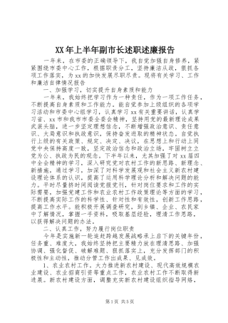 XX年上半年副市长述职述廉报告