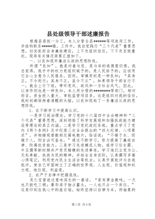 县处级领导干部述廉报告