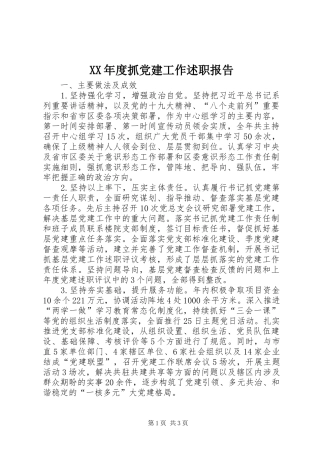 XX年度抓党建工作述职报告