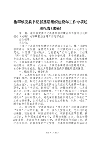 枹罕镇党委书记抓基层组织建设年工作专项述职报告(成稿)