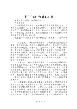 村主任职一年述职汇报