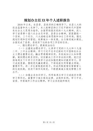 规划办主任XX年个人述职报告