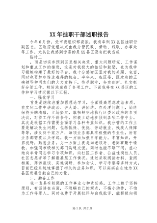 XX年挂职干部述职报告