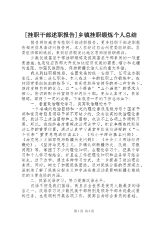 [挂职干部述职报告]乡镇挂职锻炼个人总结