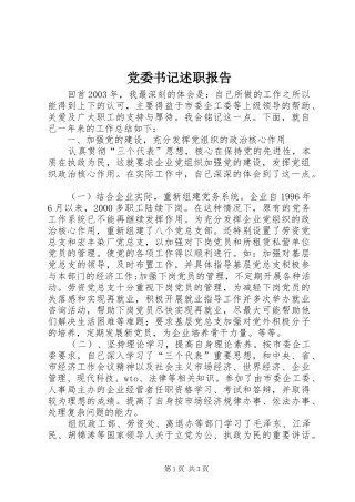 党委书记述职报告 (24)