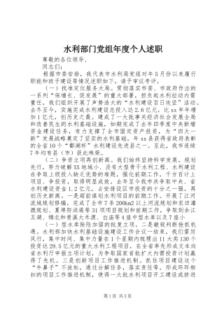 水利部门党组年度个人述职