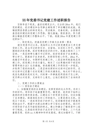 XX年党委书记党建工作述职报告