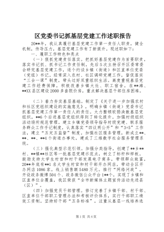 区党委书记抓基层党建工作述职报告