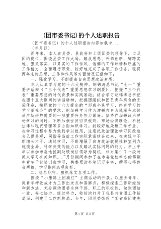 (团市委书记)的个人述职报告