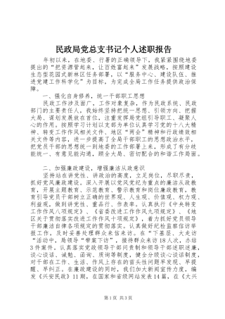 民政局党总支书记个人述职报告