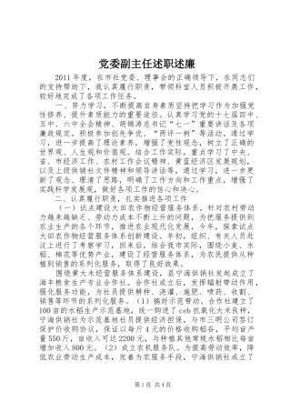 党委副主任述职述廉