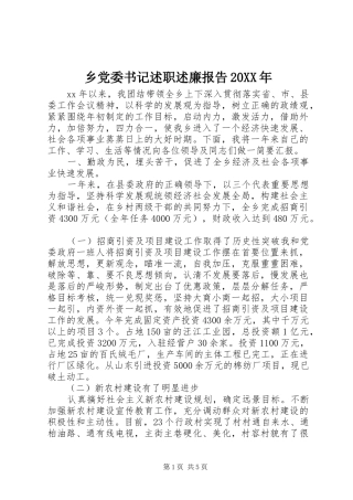 乡党委书记述职述廉报告20XX年