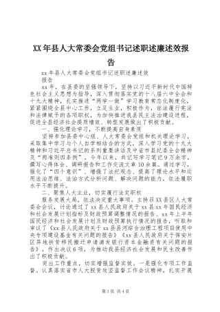 XX年县人大常委会党组书记述职述廉述效报告