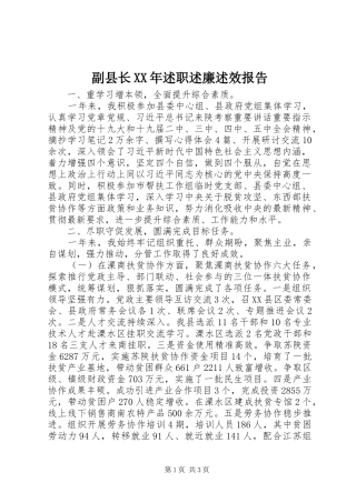 副县长XX年述职述廉述效报告