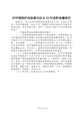 市环境保护局监察支队长XX年述职述廉报告