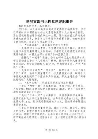 基层支部书记抓党建述职报告