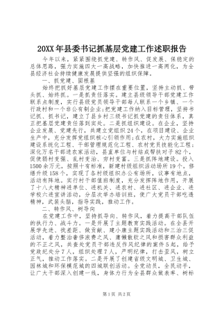 20XX年县委书记抓基层党建工作述职报告