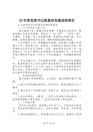 XX年度党委书记抓基层党建述职报告