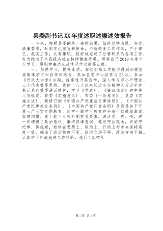 县委副书记XX年度述职述廉述效报告