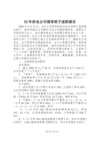 XX年供电公司领导班子述职报告