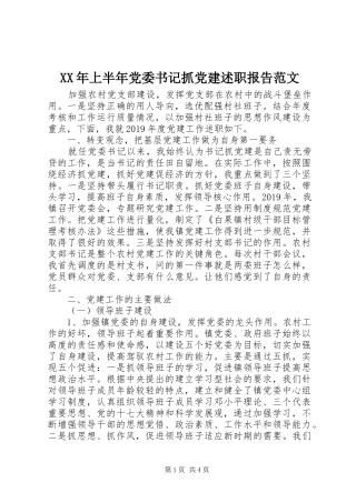 XX年上半年党委书记抓党建述职报告范文
