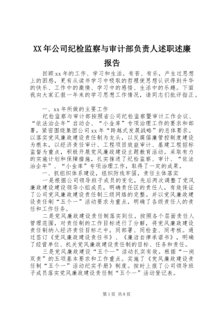 XX年公司纪检监察与审计部负责人述职述廉报告