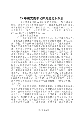 XX年镇党委书记抓党建述职报告