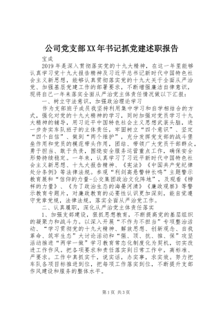 公司党支部XX年书记抓党建述职报告