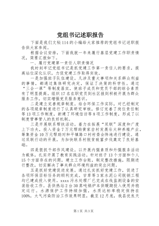 党组书记述职报告 (13)