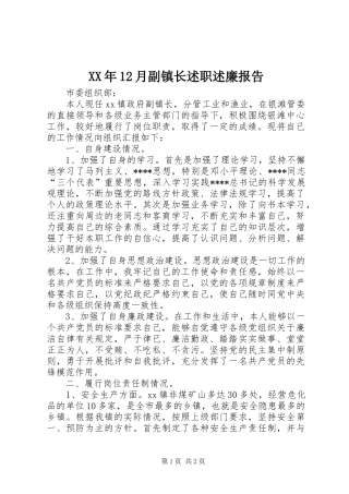 XX年12月副镇长述职述廉报告