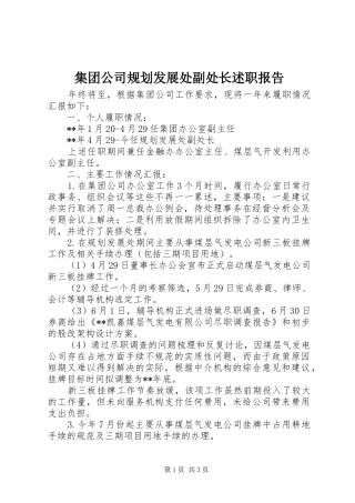 集团公司规划发展处副处长述职报告
