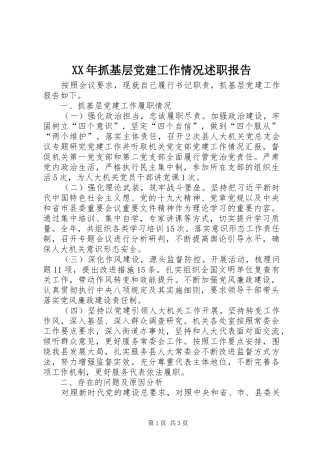 XX年抓基层党建工作情况述职报告