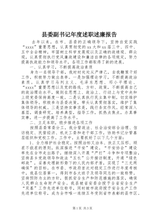 县委副书记年度述职述廉报告