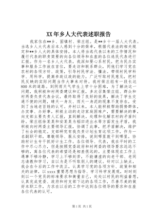 XX年乡人大代表述职报告
