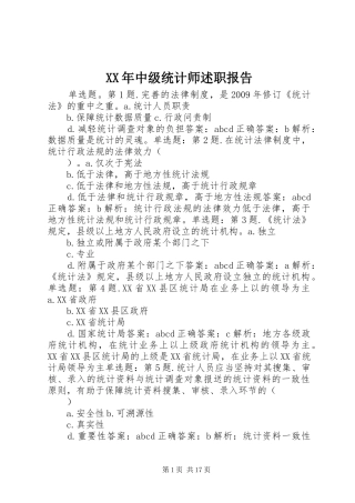 XX年中级统计师述职报告