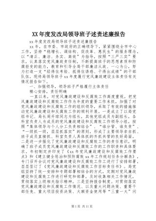 XX年度发改局领导班子述责述廉报告