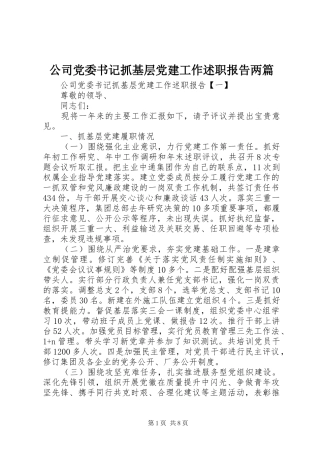 公司党委书记抓基层党建工作述职报告两篇