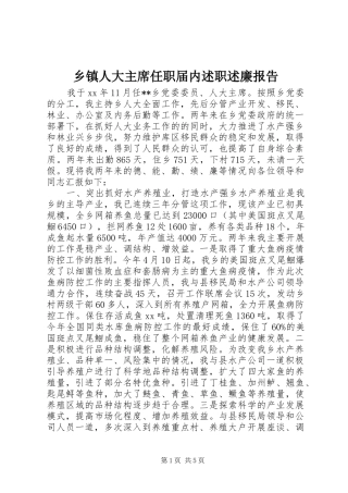 乡镇人大主席任职届内述职述廉报告_2